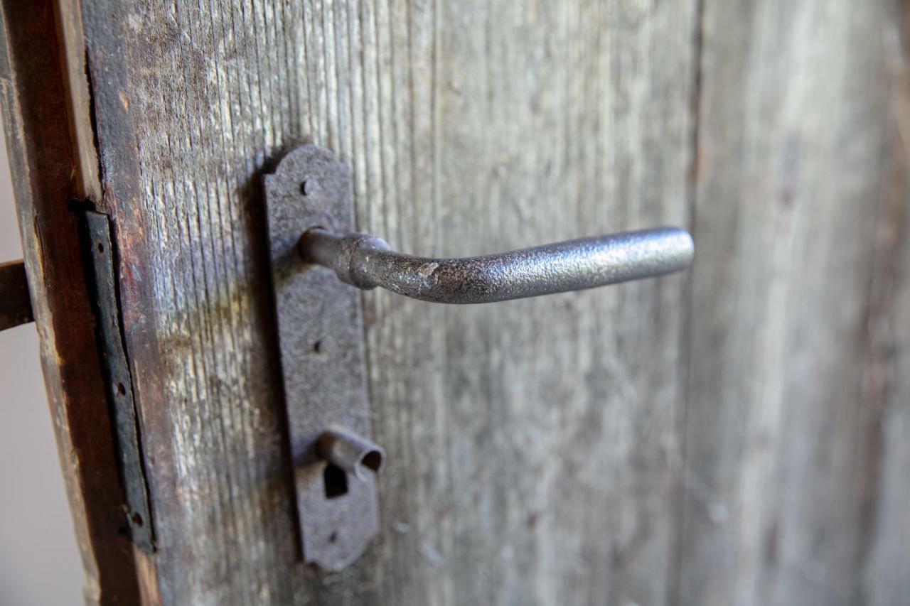 Das Holzpoidl Greisdorf エクステリア 写真